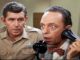 15 things you never knew about Don Knotts