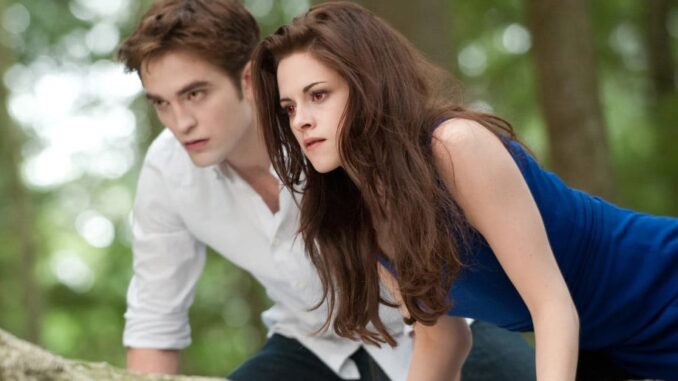 The OTHER Twilight Actor Stephenie Meyer Wanted To Play Edward